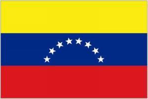 Courtesy Flag - Venezuela