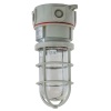 Hubbell Vapor-Tight Complete Ceiling Fixture - 150W