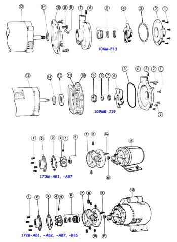 Gasket